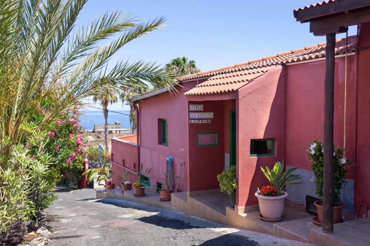 Apartment La Gaviota - El Rincon